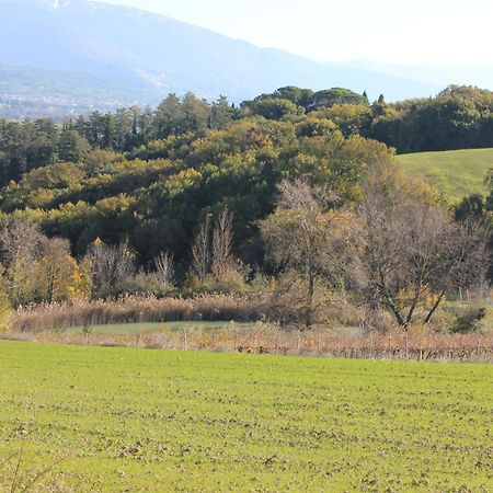Agriturismo La Ginestrella Civitella D'Arna Экстерьер фото