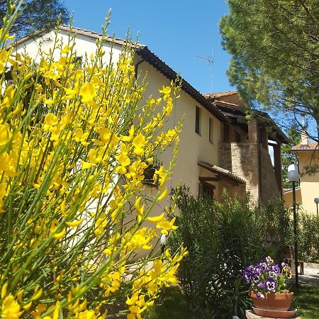 Agriturismo La Ginestrella Civitella D'Arna Экстерьер фото