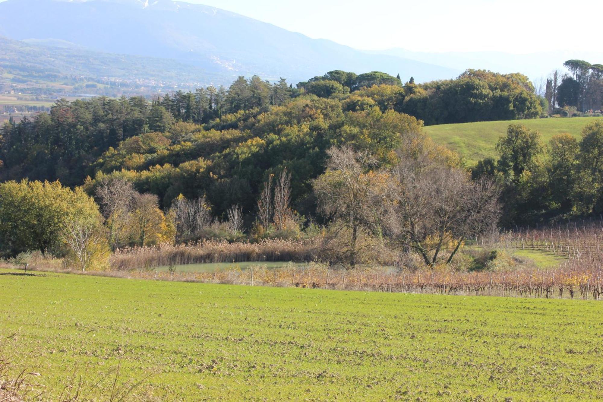 Agriturismo La Ginestrella Civitella D'Arna Экстерьер фото