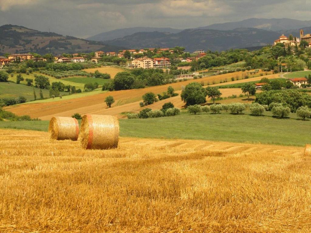 Agriturismo La Ginestrella Civitella D'Arna Экстерьер фото